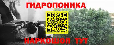 дурь Шебекино